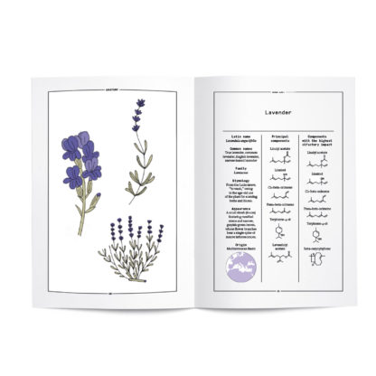 lavender-in-perfumery-en-planche-1