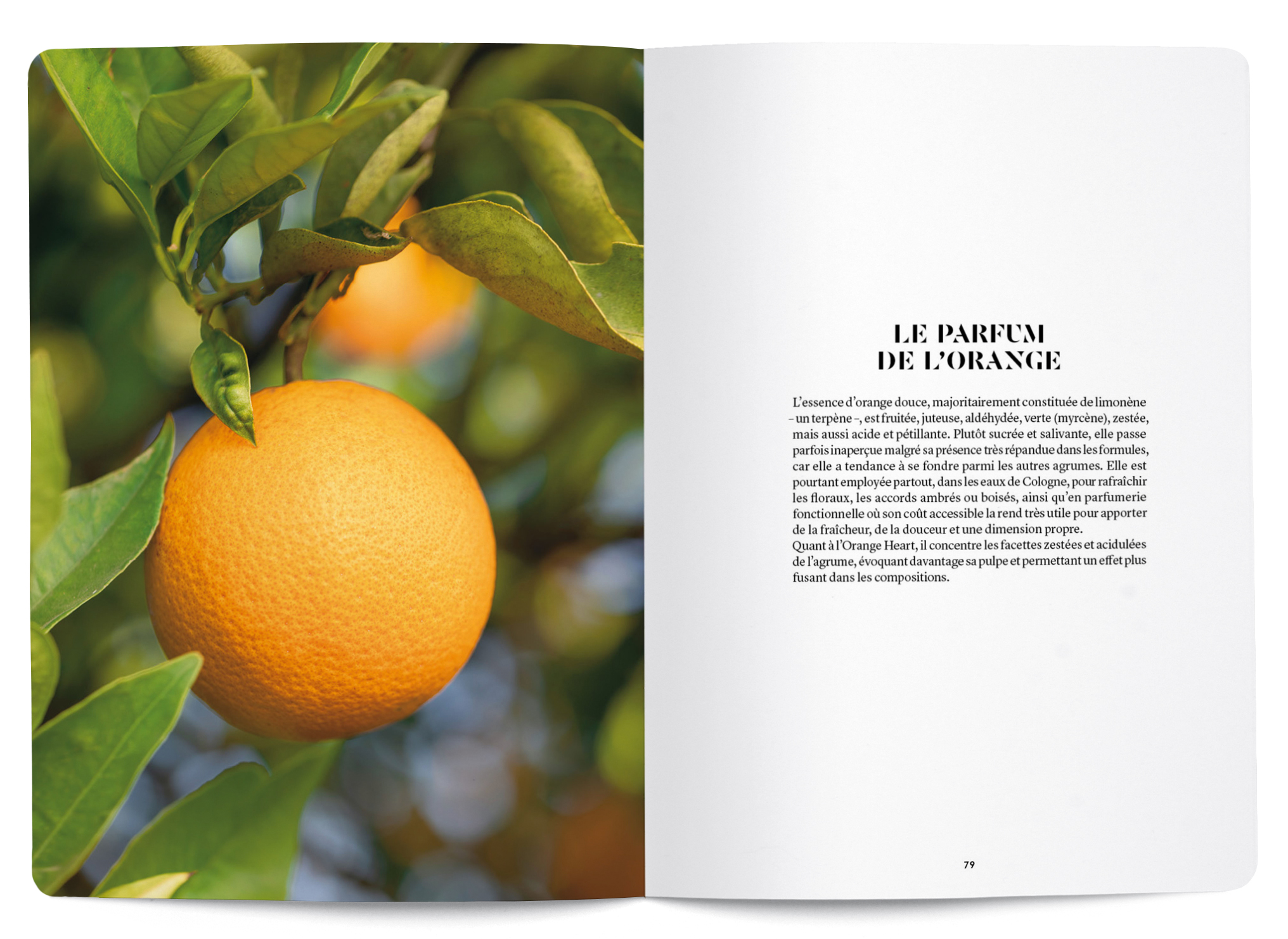L'Orange en parfumerie - Collectif - Le Shop, by Nez